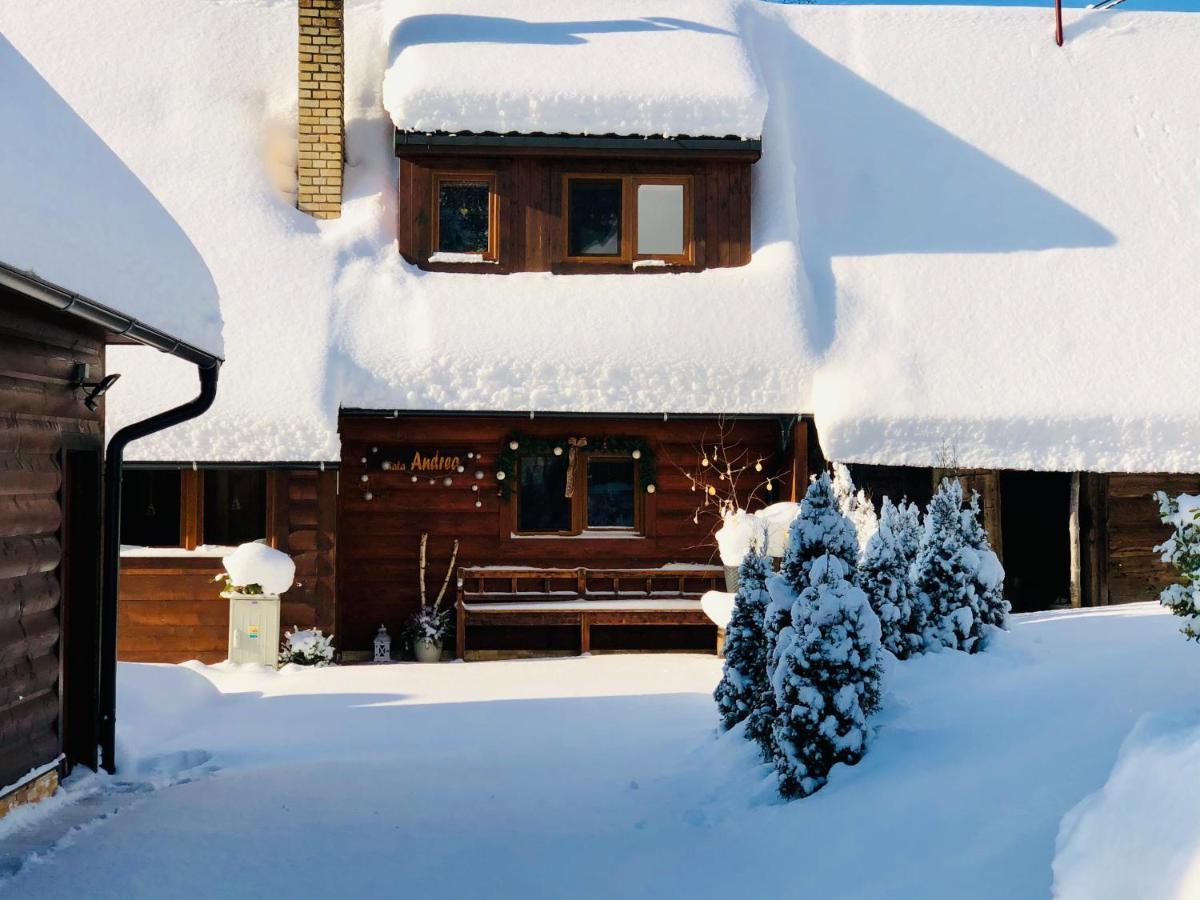 Holiday home Andrea- Neakceptujeme Mlade Partie Terchova